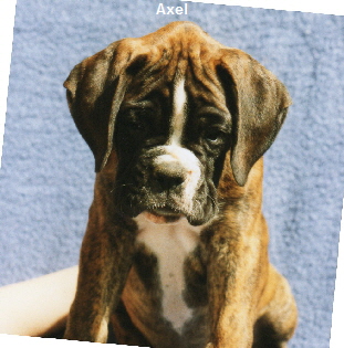 Axel001