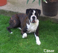 Csar072005