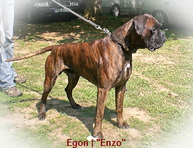 Egon_Enzo_Trie01052011 017_bearbeitet-1