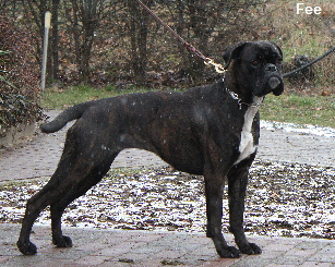 Fee_240110-010