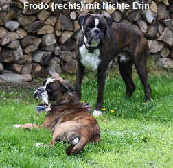 FrodoErin042011-006
