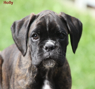Holly_Erin 2013-06-03 017
