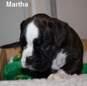 Martha_IMG_9546 (2)